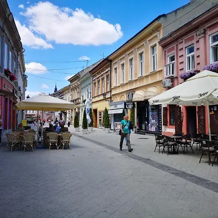 Filinhome Dunavska Studio 1 Novi Sad Exterior foto